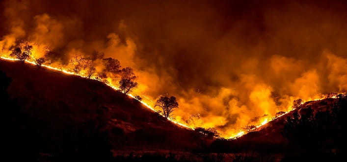 Лесной пожар