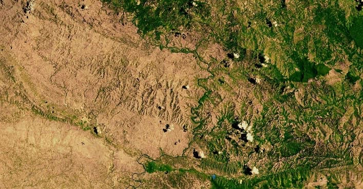 Обезлесивание