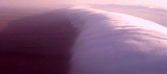 Утренняя глория