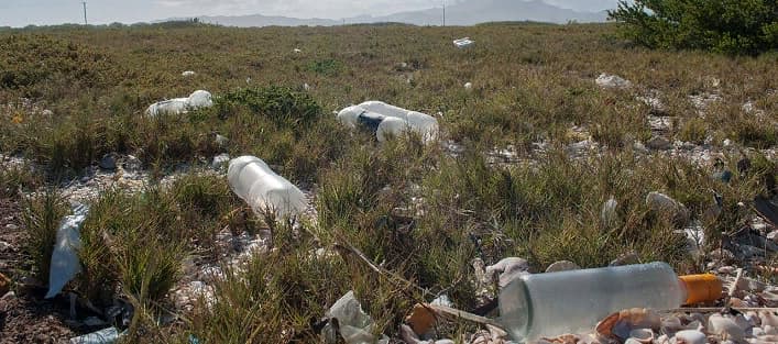 Загрязнение почвы