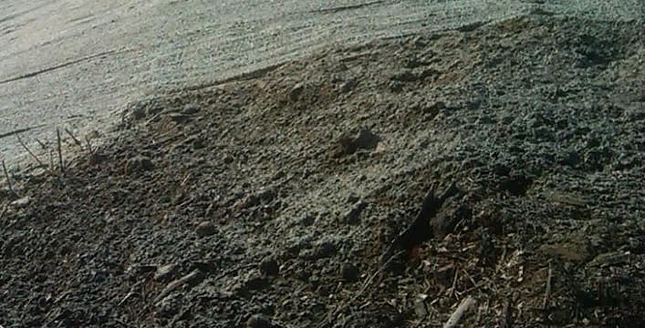 Загрязнённая почва